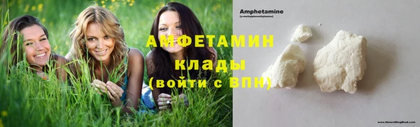 стафф Алзамай