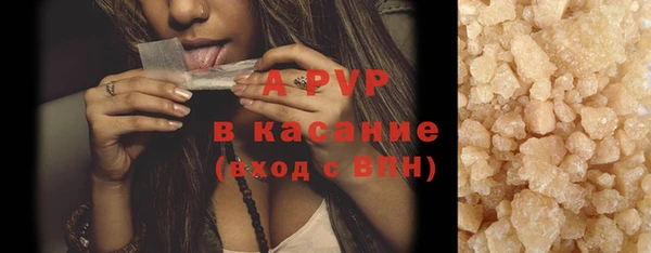 стафф Алзамай
