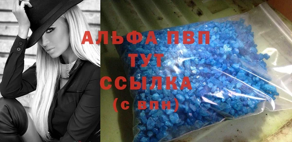 стафф Алзамай