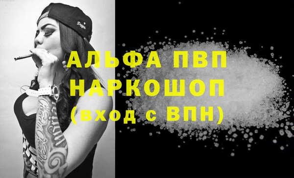 стафф Алзамай