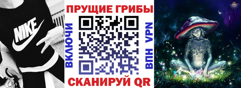 Галлюциногенные грибы Magic Shrooms  где найти   Бологое 